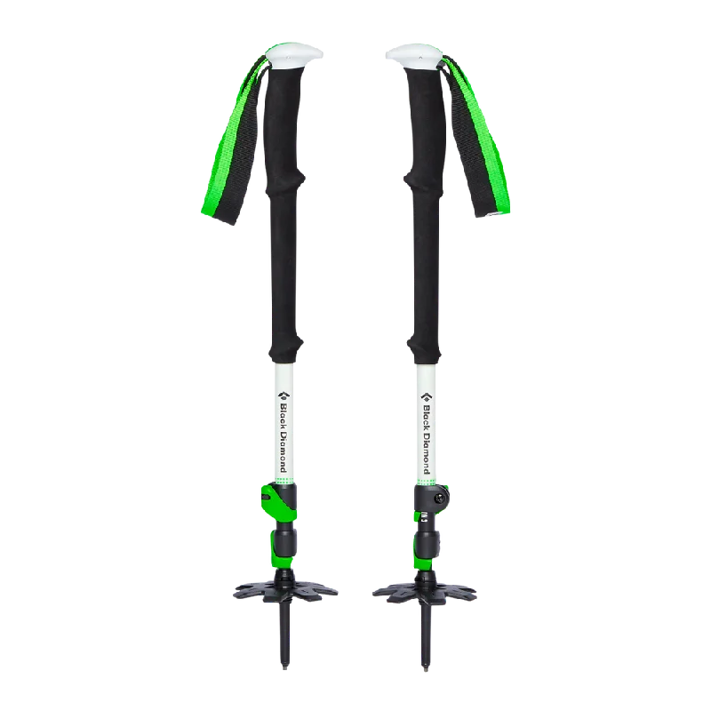 Expedition 3 Ski Poles