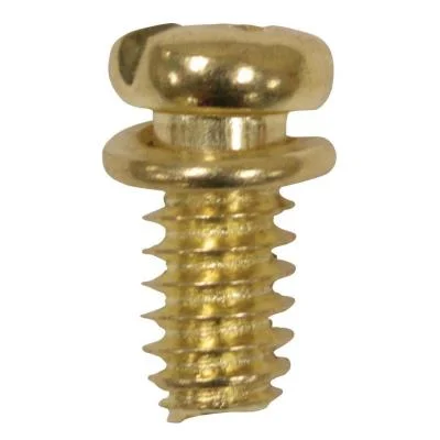 Motor Screw Kit