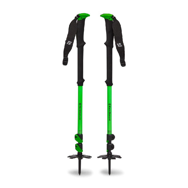 Expedition WR 3 Ski Poles