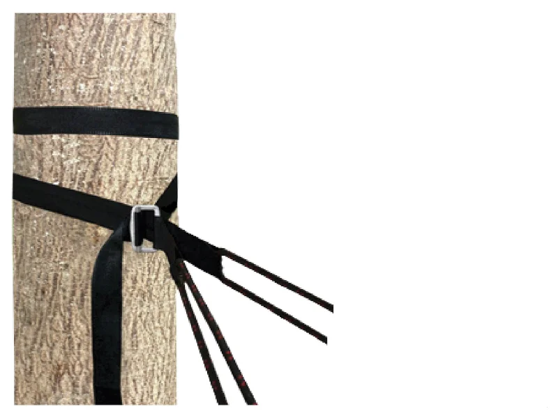 Deluxe Cinching Tree Straps